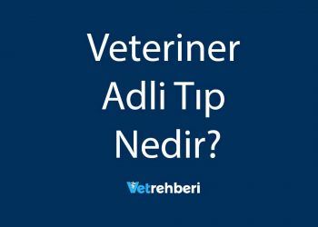 Veteriner Adli Tıp Nedir?