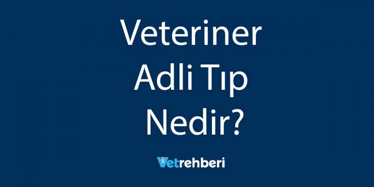 Veteriner Adli Tıp Nedir?