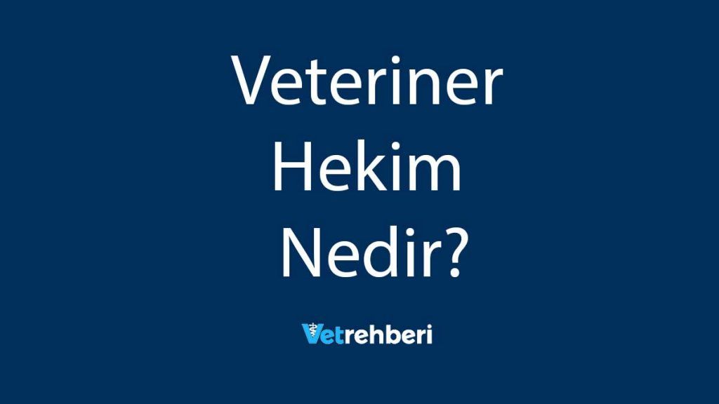 Veteriner Hekim Nedir?