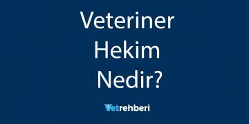 Veteriner Hekim Nedir?