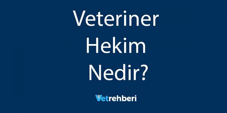 Veteriner Hekim Nedir?