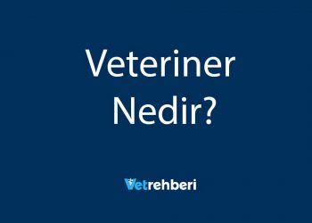Veteriner Nedir?