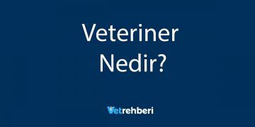 Veteriner Nedir?