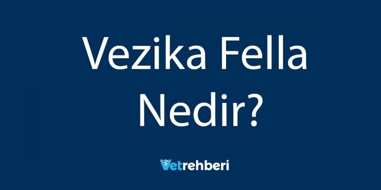 Vezika Fella Nedir?