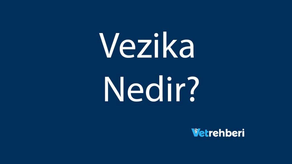 Vezika Nedir?