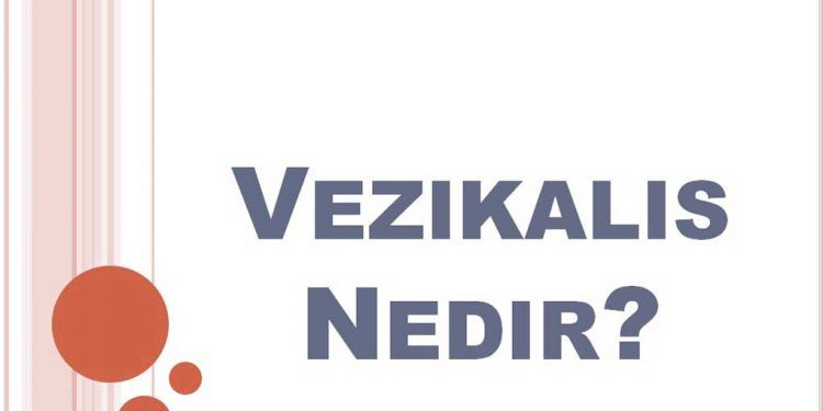 Vezikalis Nedir?