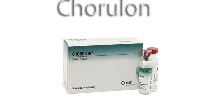 Chorulon