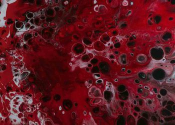 Hayvanların Kan Grupları