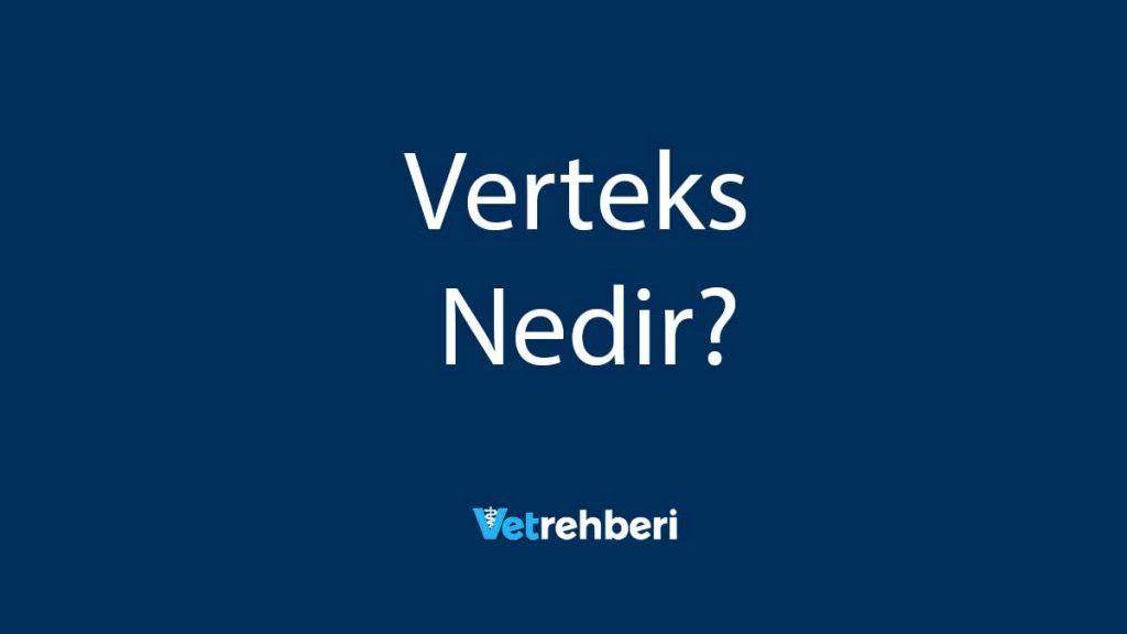 Verteks Nedir?