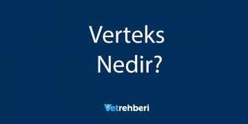 Verteks Nedir?