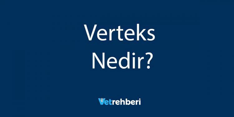 Verteks Nedir?