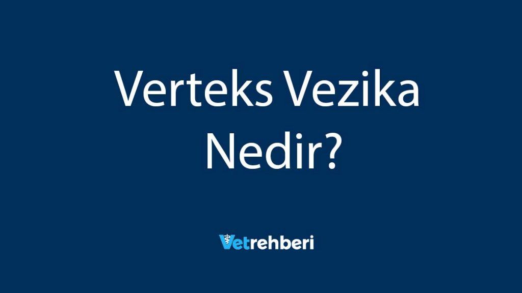 Verteks Vezika Nedir?