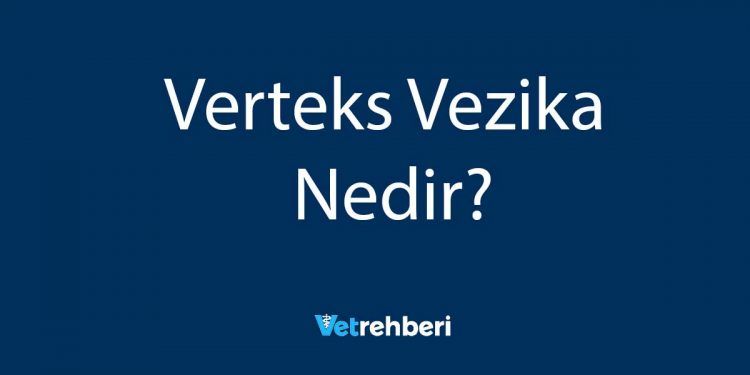 Verteks Vezika Nedir?