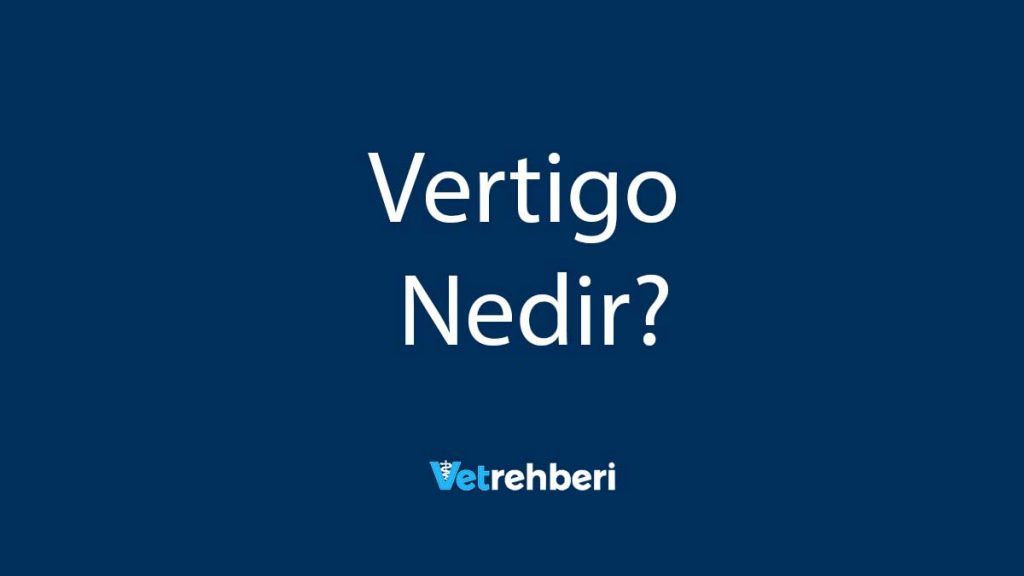 Vertigo Nedir?