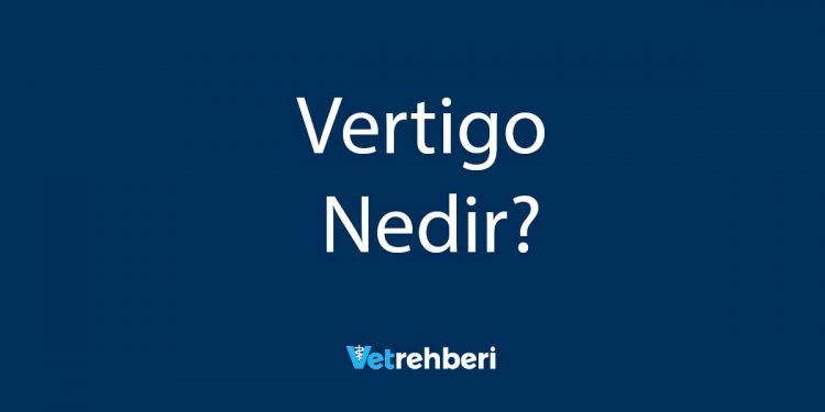 Vertigo Nedir?