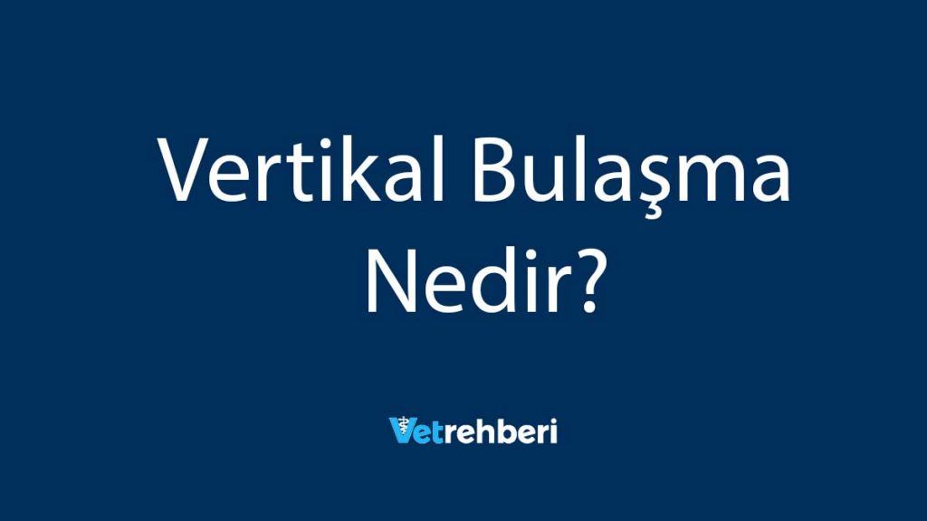 Vertikal Bulaşma Nedir?