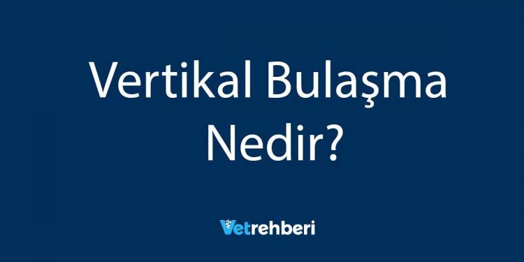 Vertikal Bulaşma Nedir?