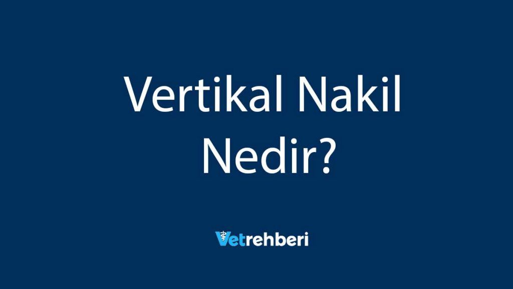 Vertikal Nakil Nedir?