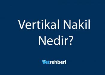 Vertikal Nakil Nedir?