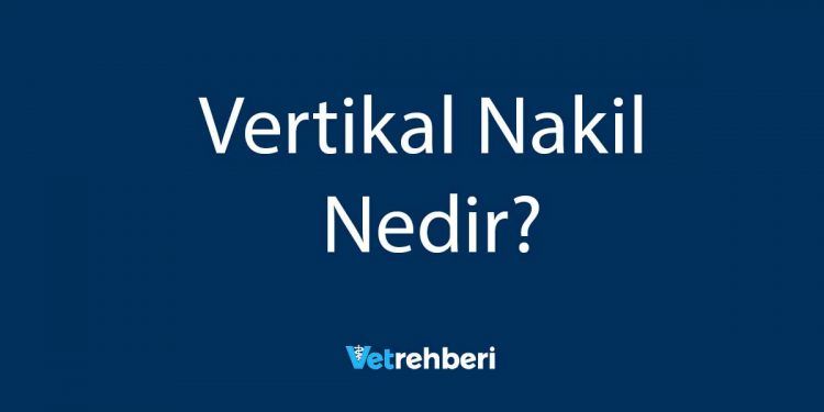 Vertikal Nakil Nedir?