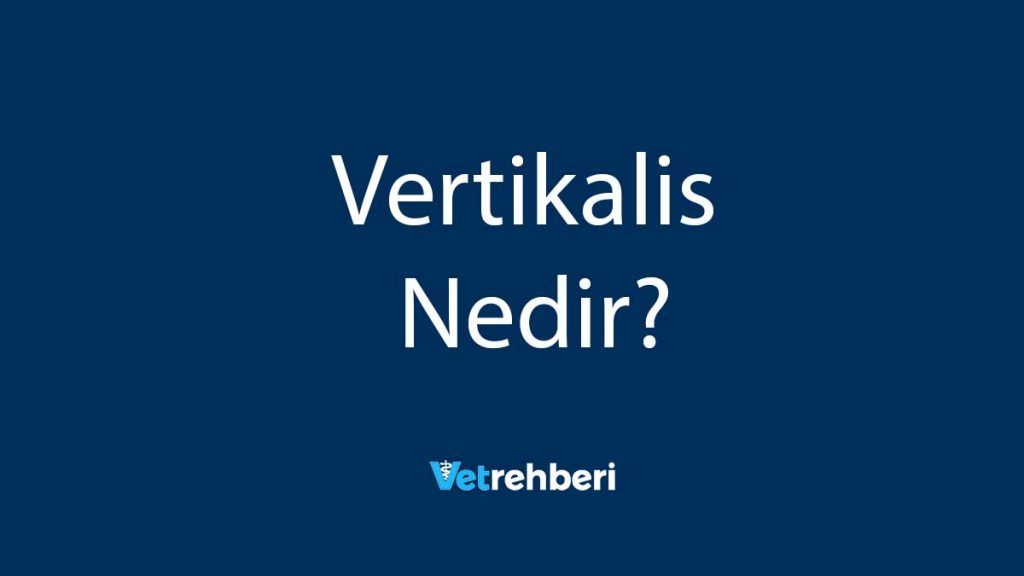 Vertikalis Nedir?