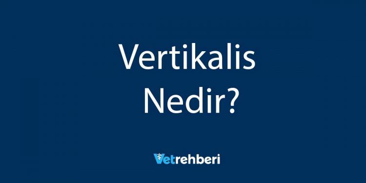 Vertikalis Nedir?