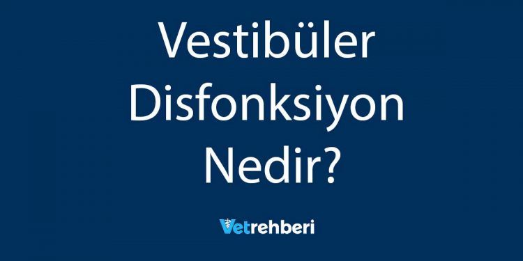 Vestibüler Disfonksiyon Nedir?