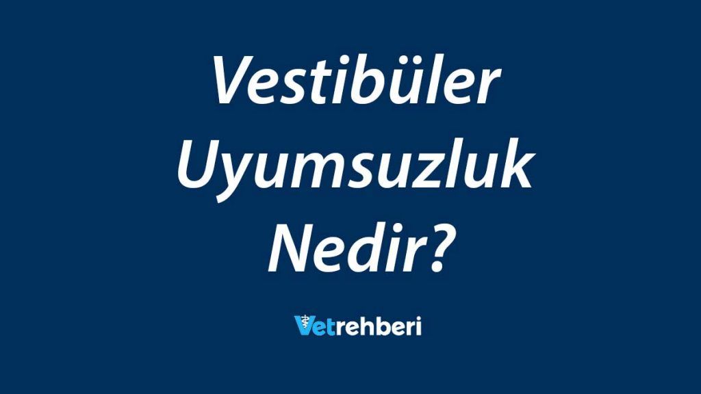 Vestibüler Uyumsuzluk Nedir?