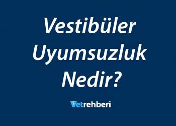 Vestibüler Uyumsuzluk Nedir?