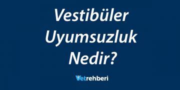 Vestibüler Uyumsuzluk Nedir?