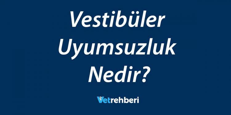 Vestibüler Uyumsuzluk Nedir?