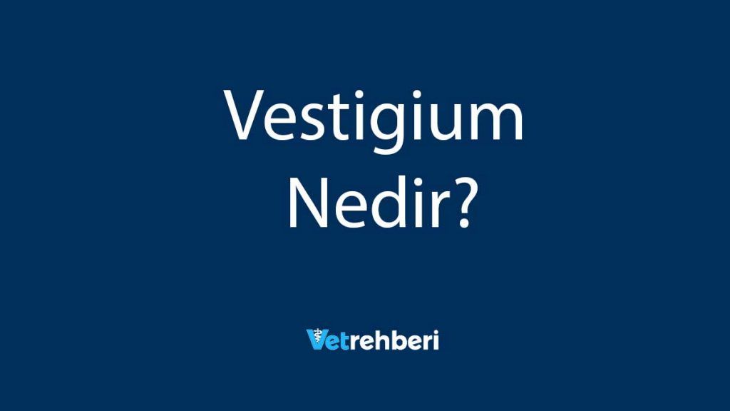 Vestigium Nedir?