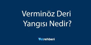 Verminöz Deri Yangısı Nedir?