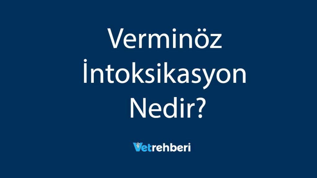 Verminöz İntoksikasyon Nedir?