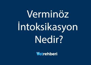 Verminöz İntoksikasyon Nedir?