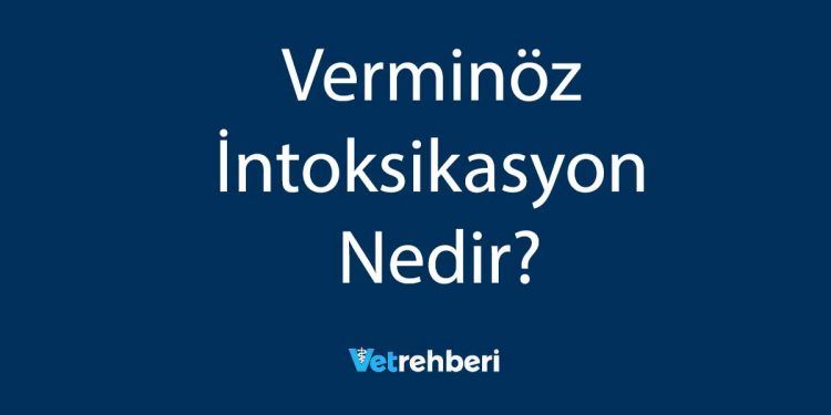 Verminöz İntoksikasyon Nedir?