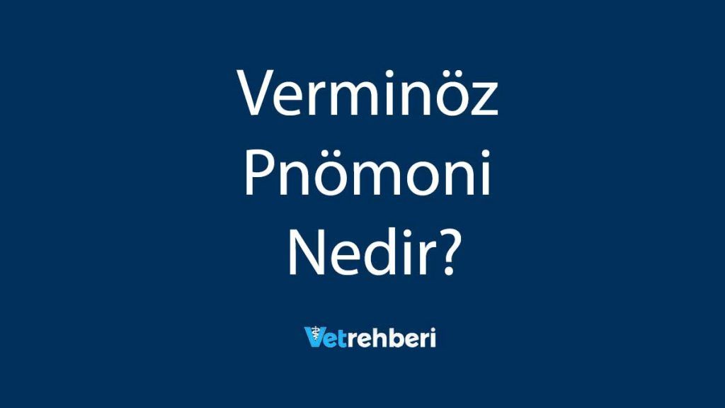 Verminöz Pnömoni Nedir?