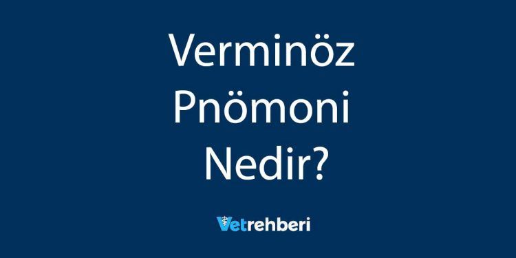 Verminöz Pnömoni Nedir?