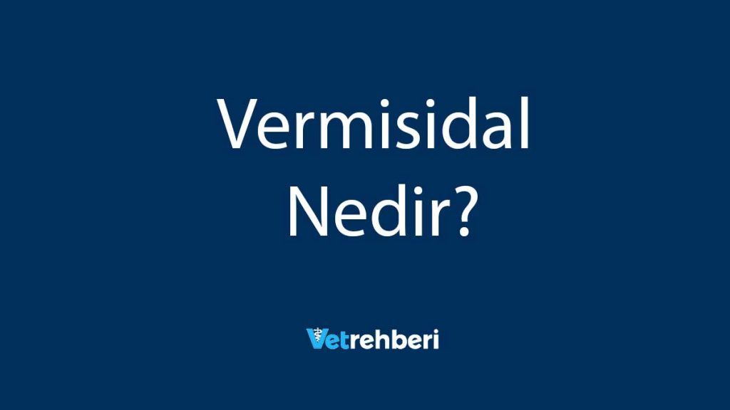 Vermisidal Nedir?