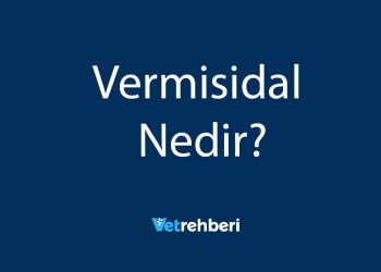 Vermisidal Nedir?