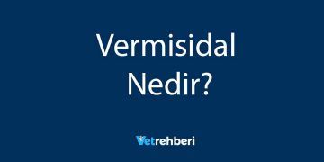 Vermisidal Nedir?