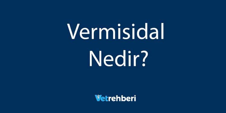 Vermisidal Nedir?