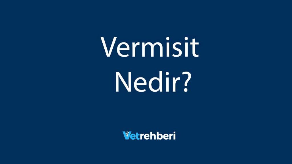 Vermisit Nedir?