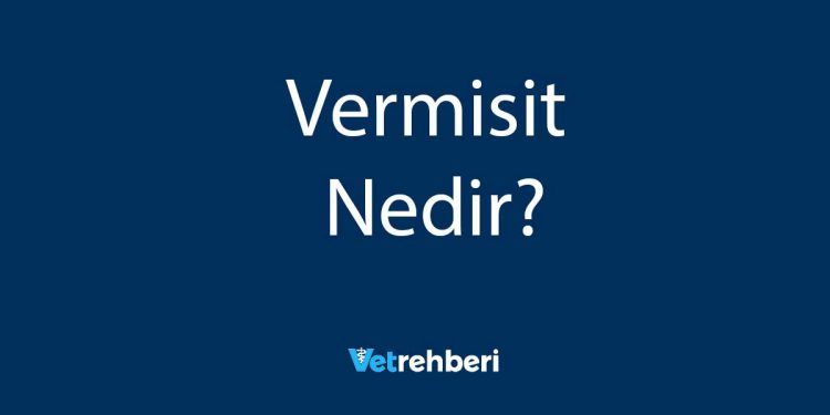 Vermisit Nedir?