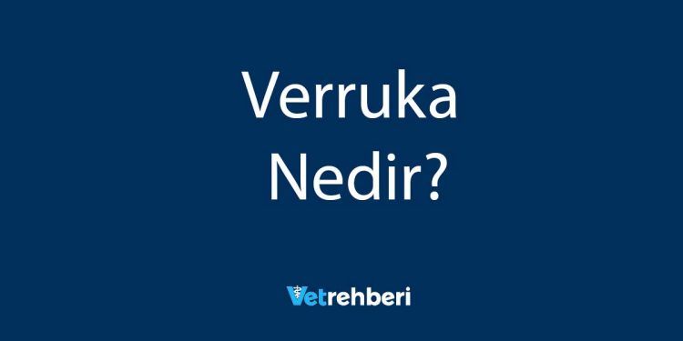 Verruka Nedir?