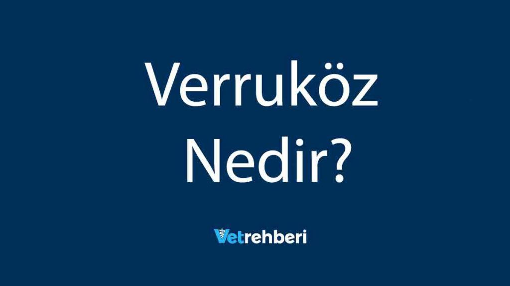 Verruköz Nedir?