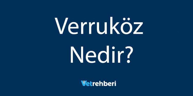 Verruköz Nedir?