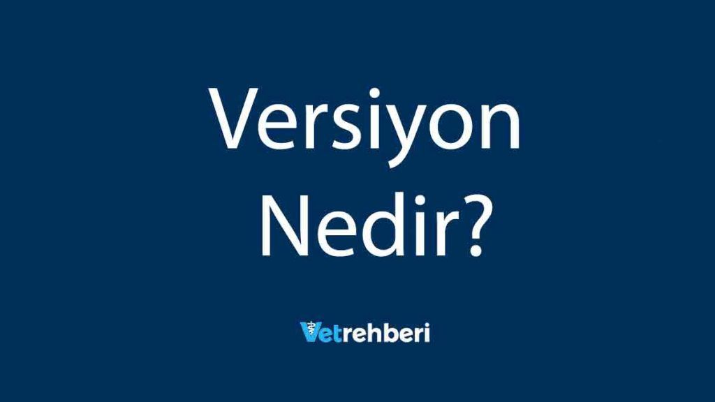 Versiyon Nedir?