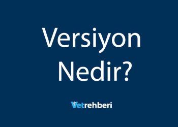 Versiyon Nedir?