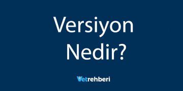 Versiyon Nedir?